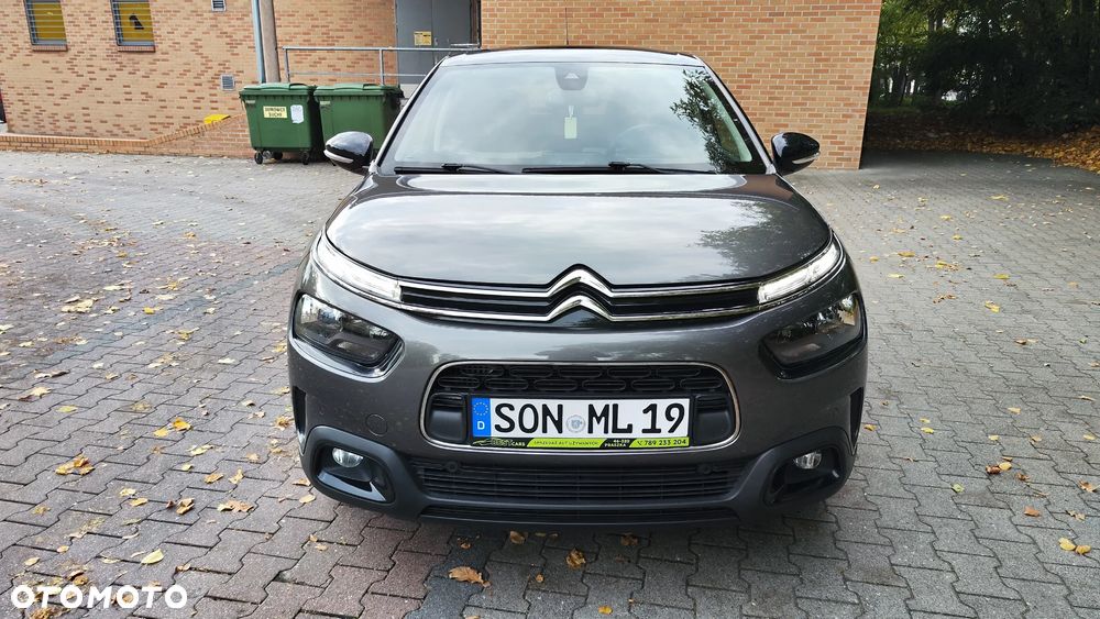 Citroën C4 Cactus Pure Tech e-THP 110 Stop&Start Shine - 15