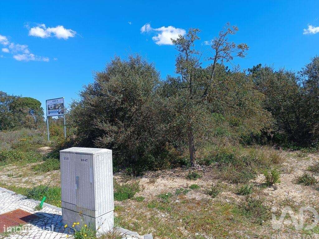 Terreno em Sesimbra (Castelo) de 5000,00 m2 - Grande imagem: 4/30
