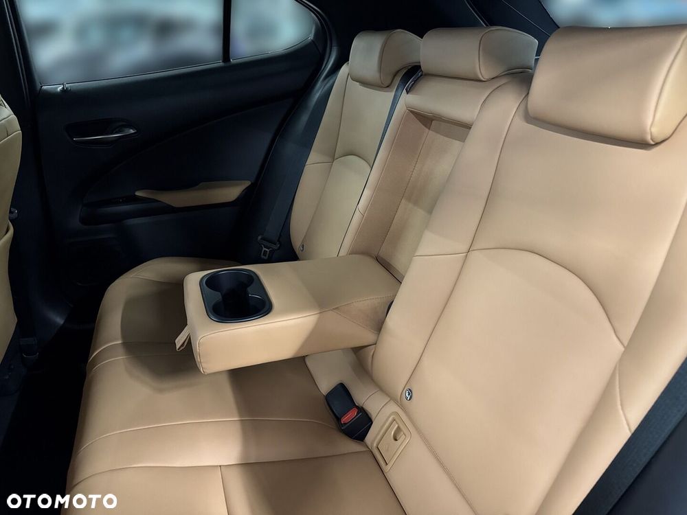 Lexus UX 300h F Sport Design - 11