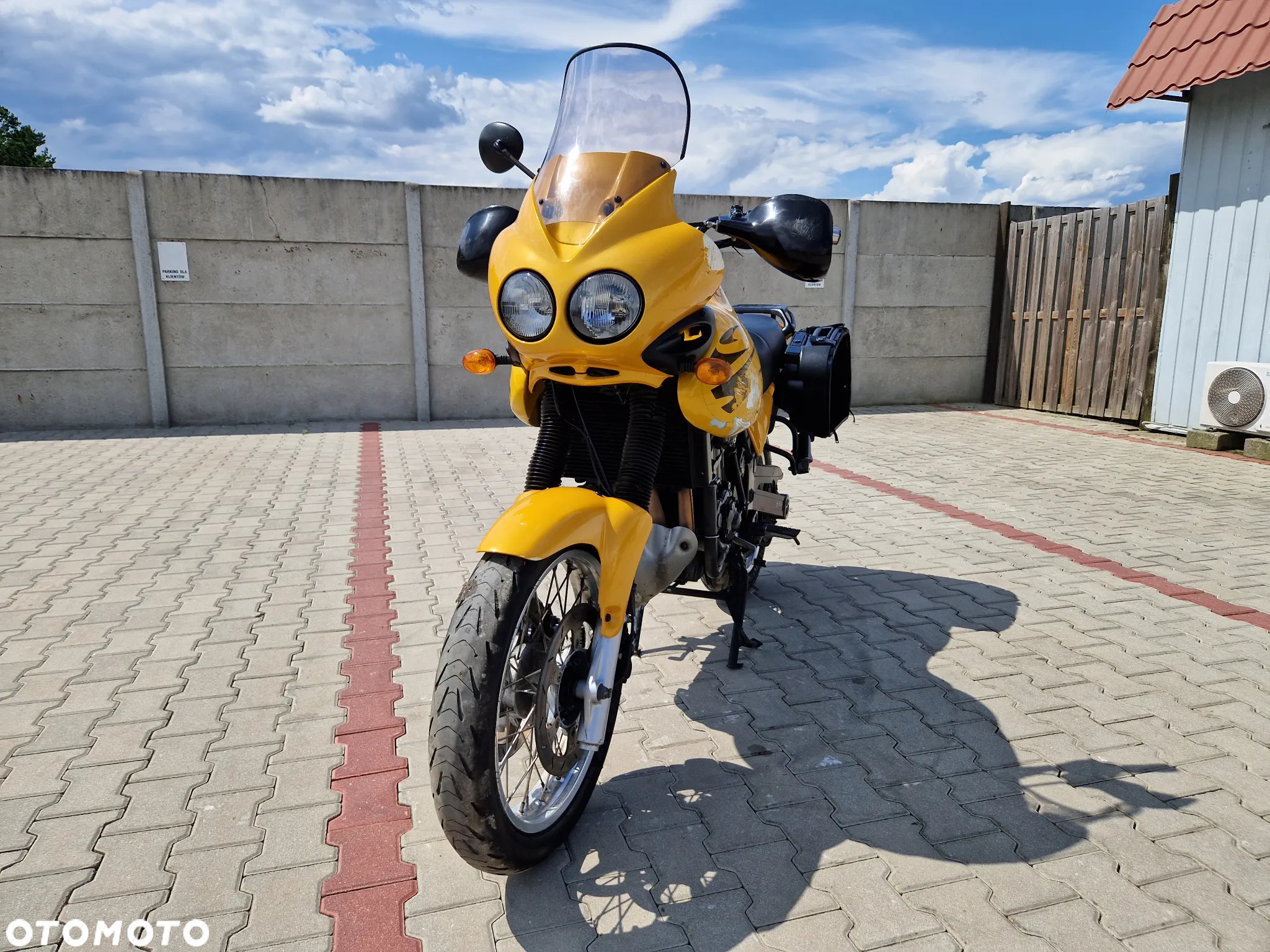 Triumph Tiger - 14