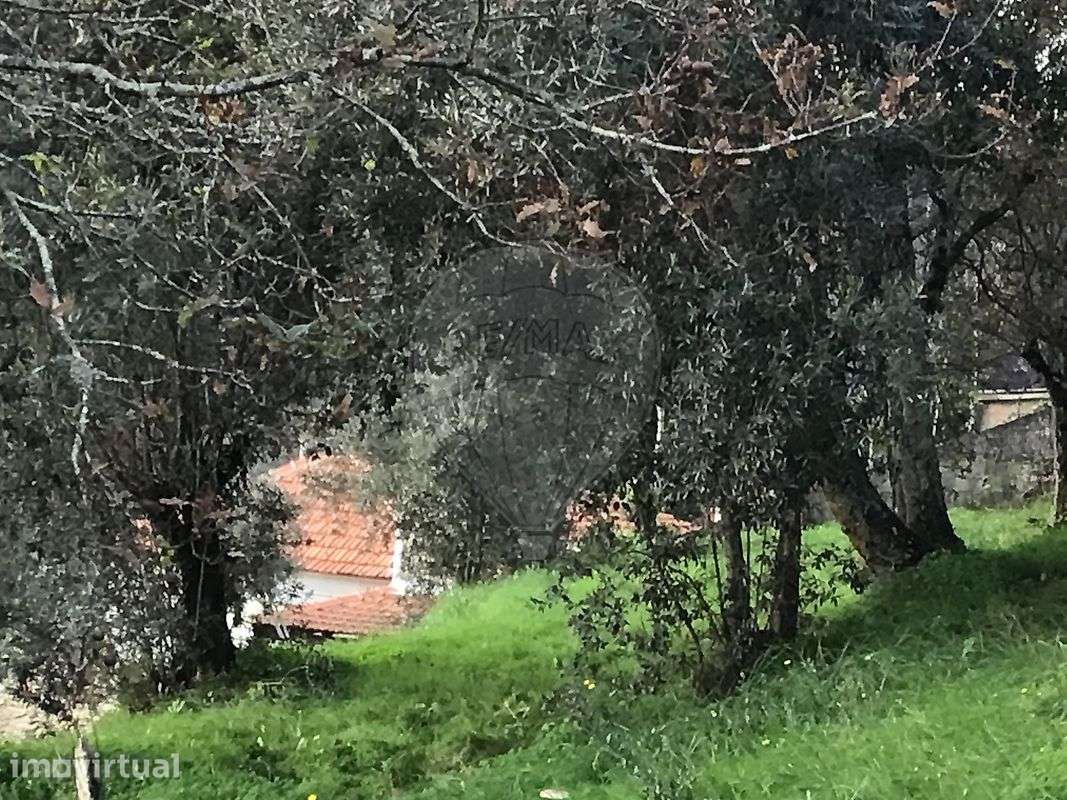Terreno  para venda - Grande imagem: 3/10