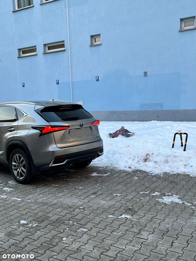 Lexus NX 300h Elegance AWD - 33