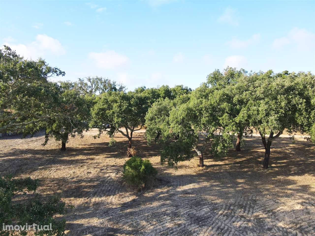 Terreno rústico Grândola - Grande imagem: 2/10