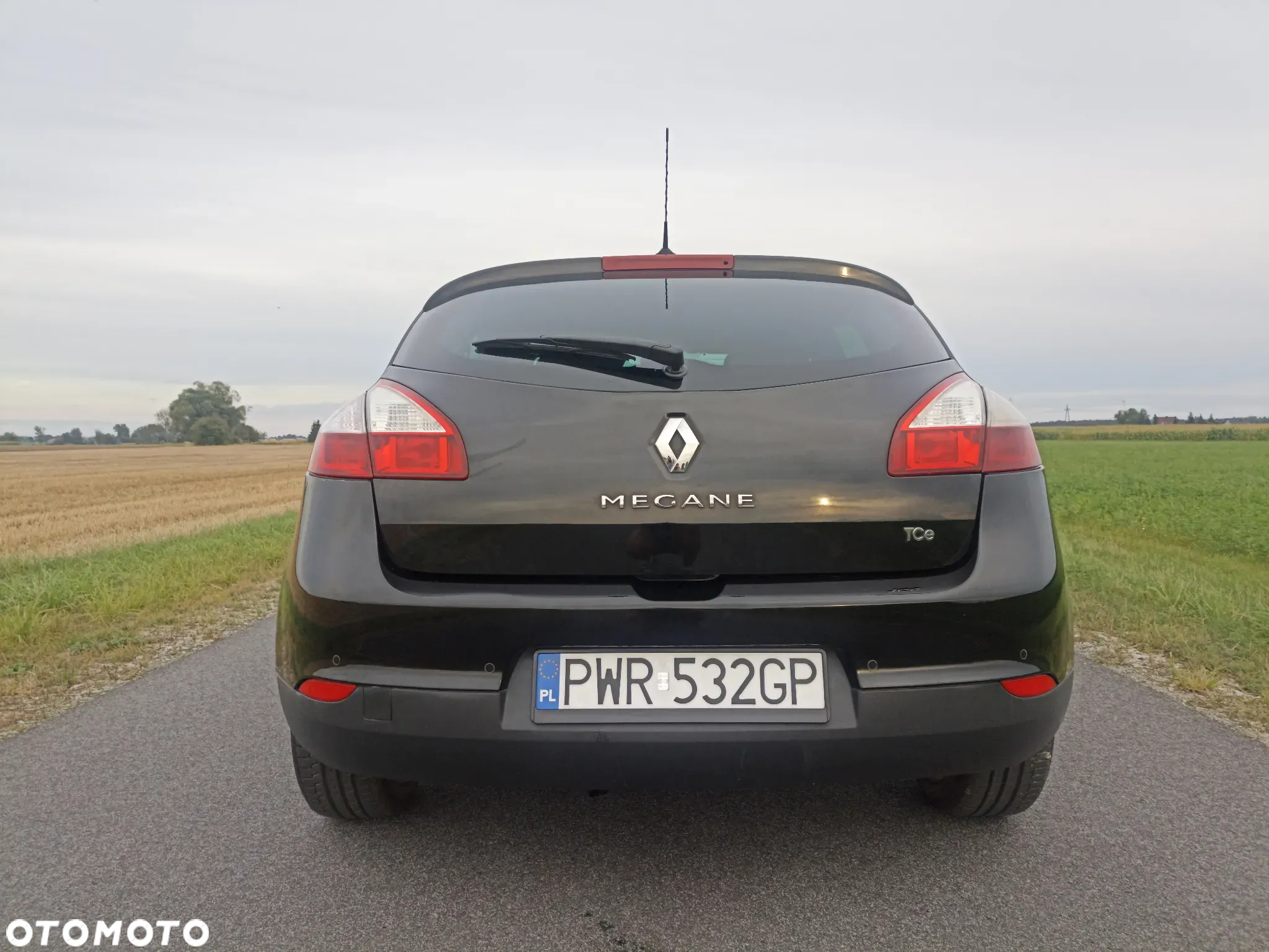 Renault Megane - 5