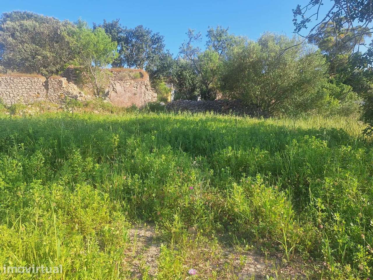 Terreno nos arredores de São Brás de Alportel - Grande imagem: 3/15