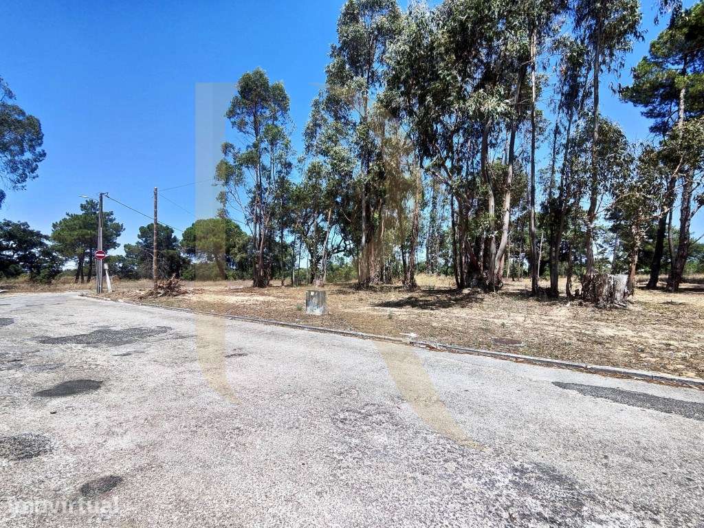 Venda conjunta de 105 lotes de terreno na Urbanização Pinhal de Neg... - Grande imagem: 4/26