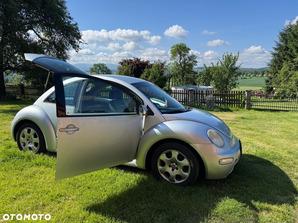 Volkswagen Beetle - 8