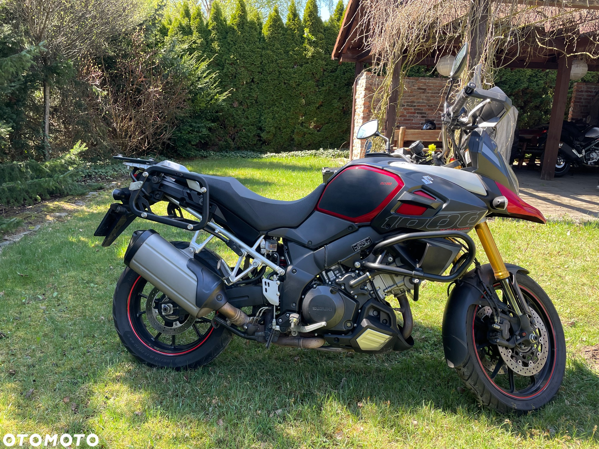 Suzuki DL
