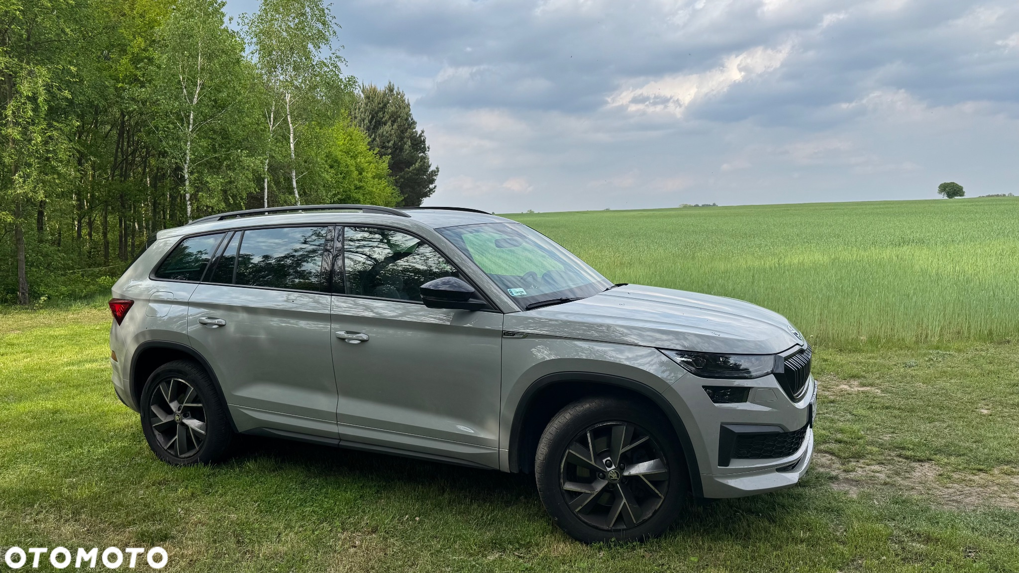 Skoda Kodiaq 2.0 TSI 4x4 Sportline DSG 7os - 7