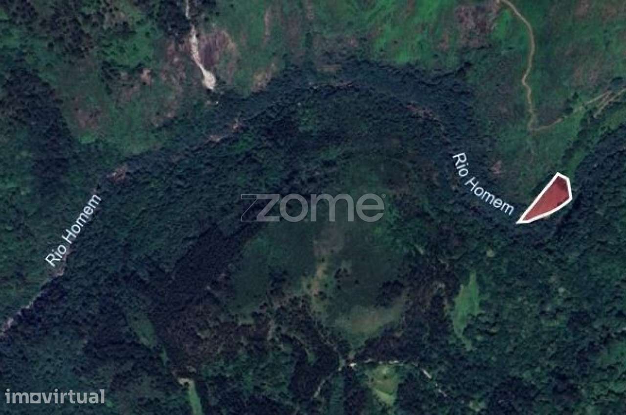 Terreno Rustico Gerês, de 10 000m2, a confrontar com Rio Homem - Grande imagem: 2/5