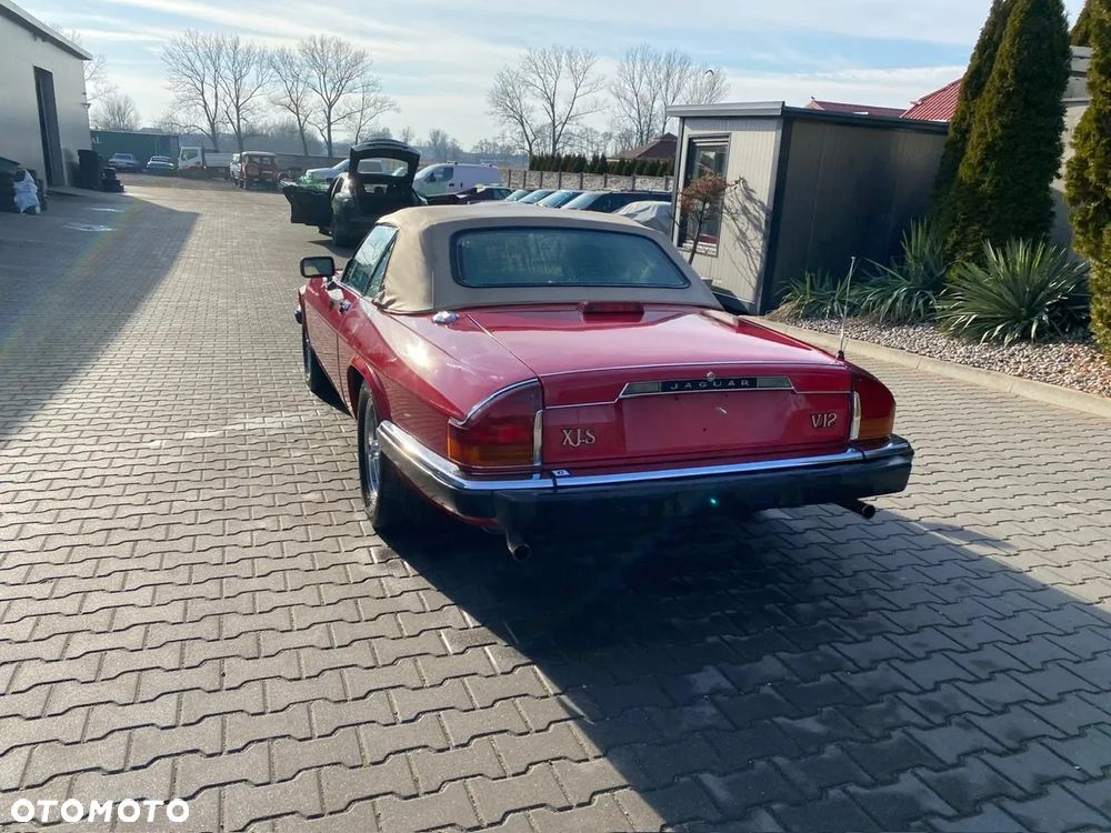 Jaguar XJS - 6