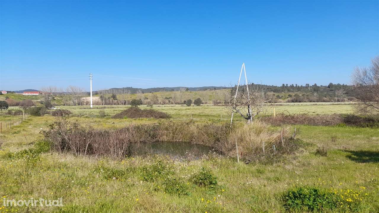 Quinta T0 Venda em Vila Velha de Ródão,Vila Velha de Ródão - Grande imagem: 5/28