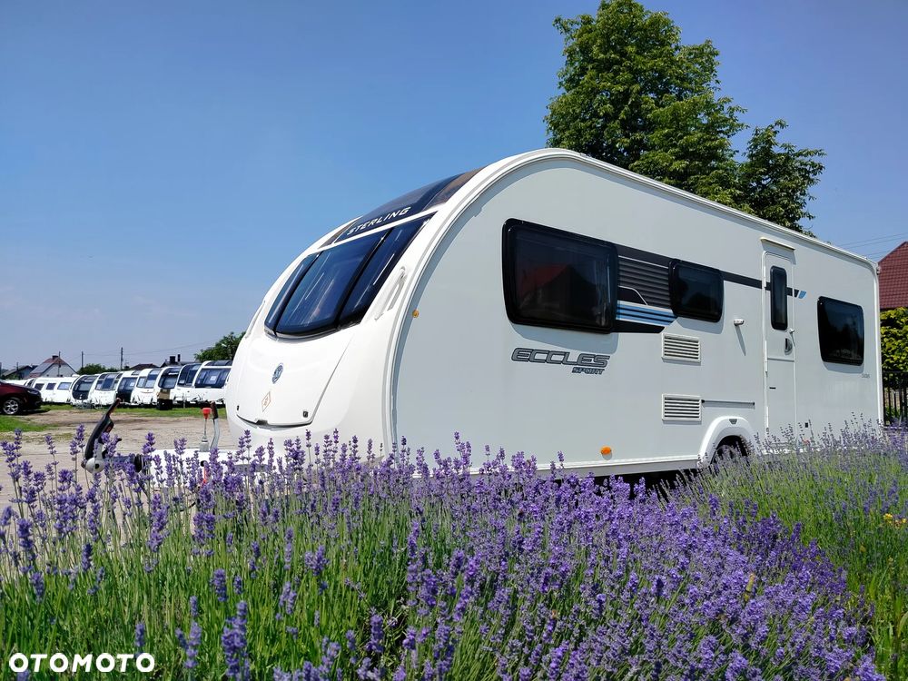 SWIFT Eccles Sport 586 - 1
