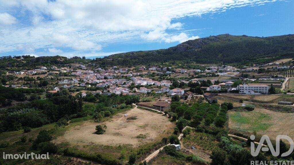 Terreno para construção em Lamas e Cercal - Grande imagem: 2/6