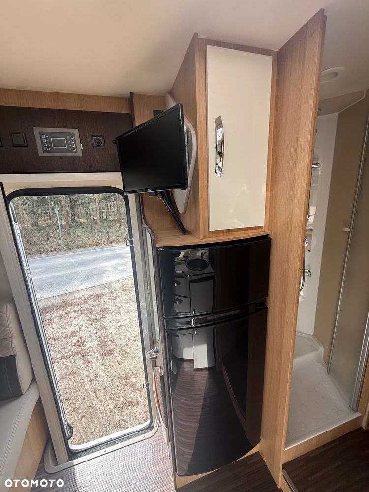 McLOUIS Yearling i61g - 16