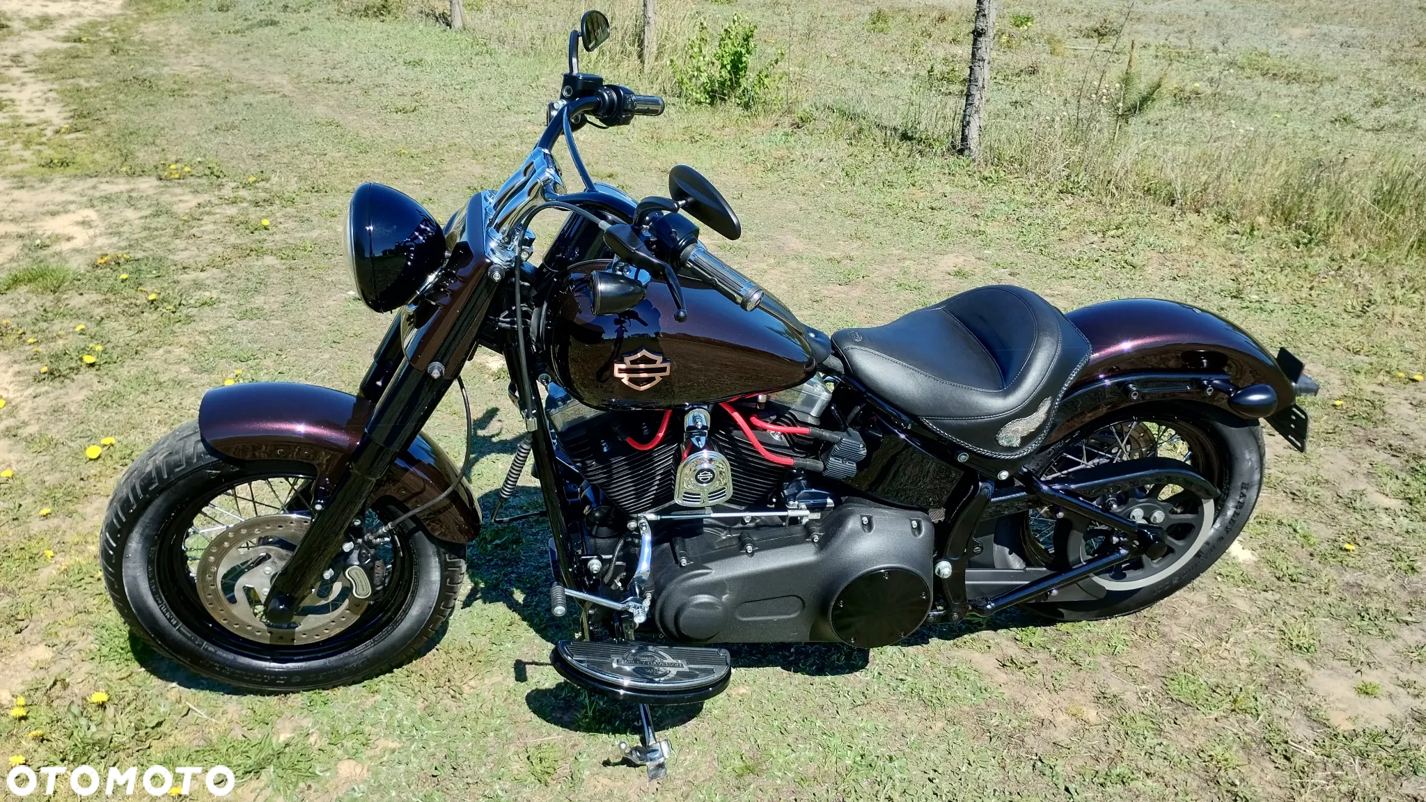 Harley-Davidson Softail Slim - 8