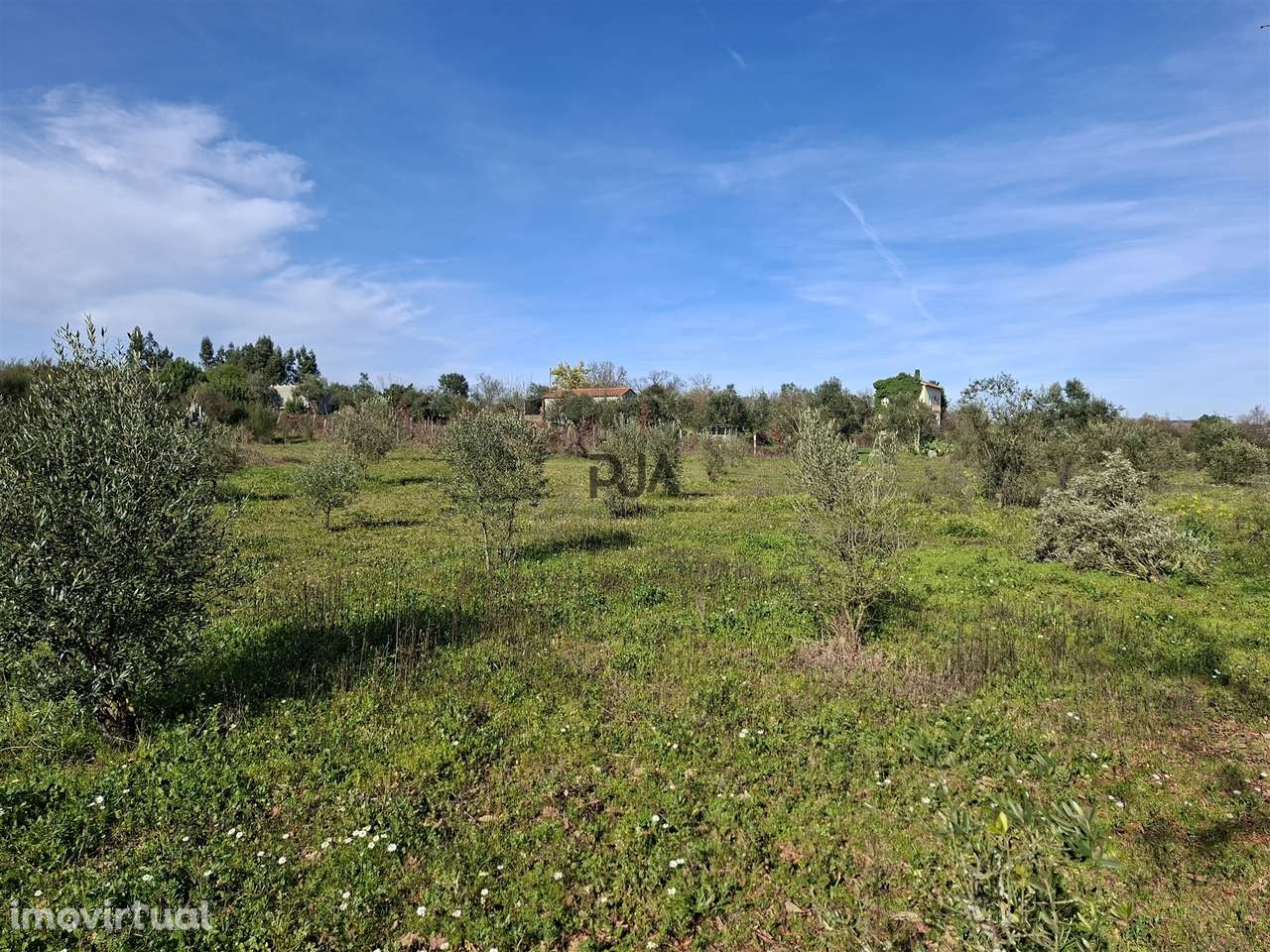 Quinta com 4,6Ha em Mangualde - Grande imagem: 4/28