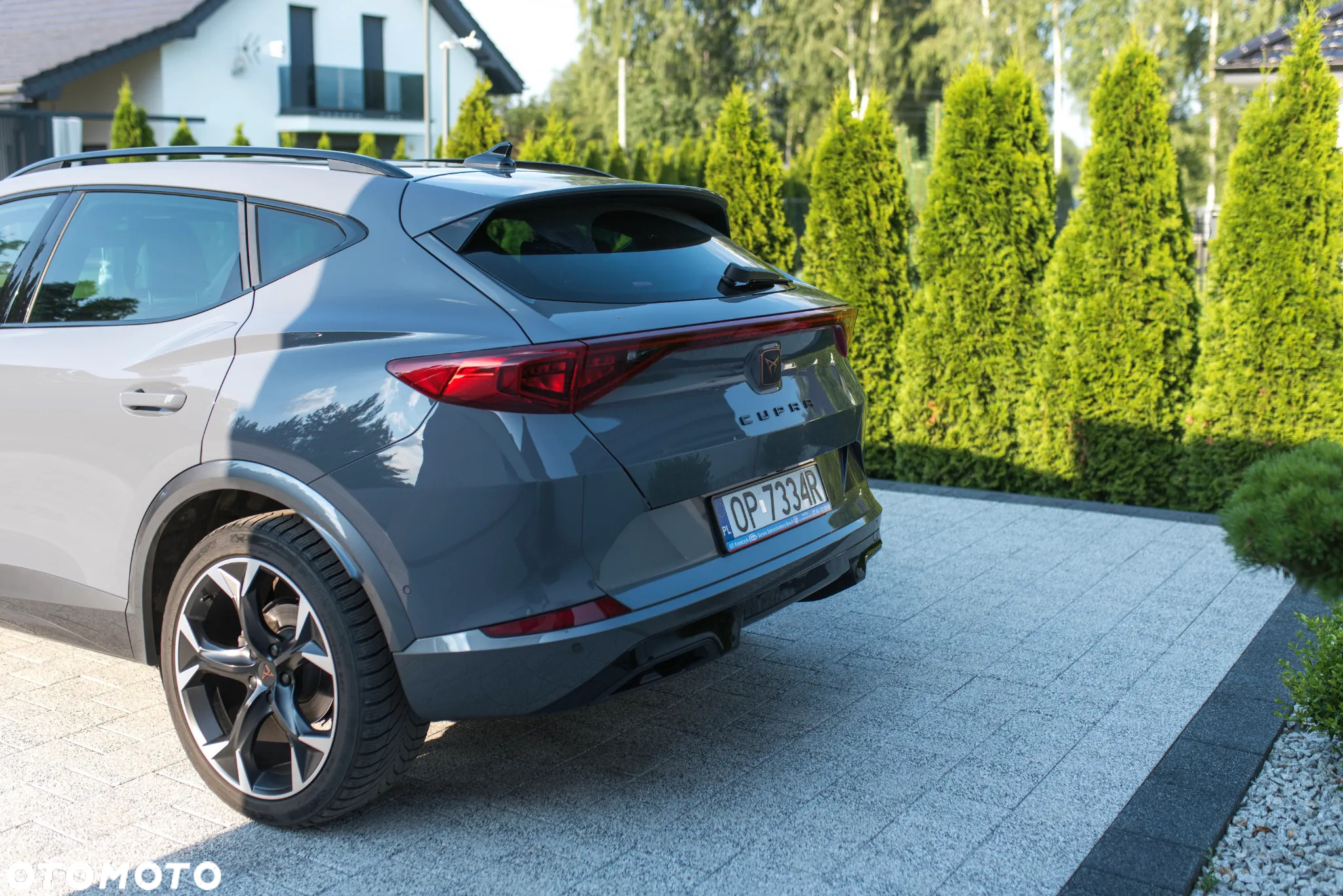 Cupra Formentor 2.0 TSI 4Drive DSG - 4