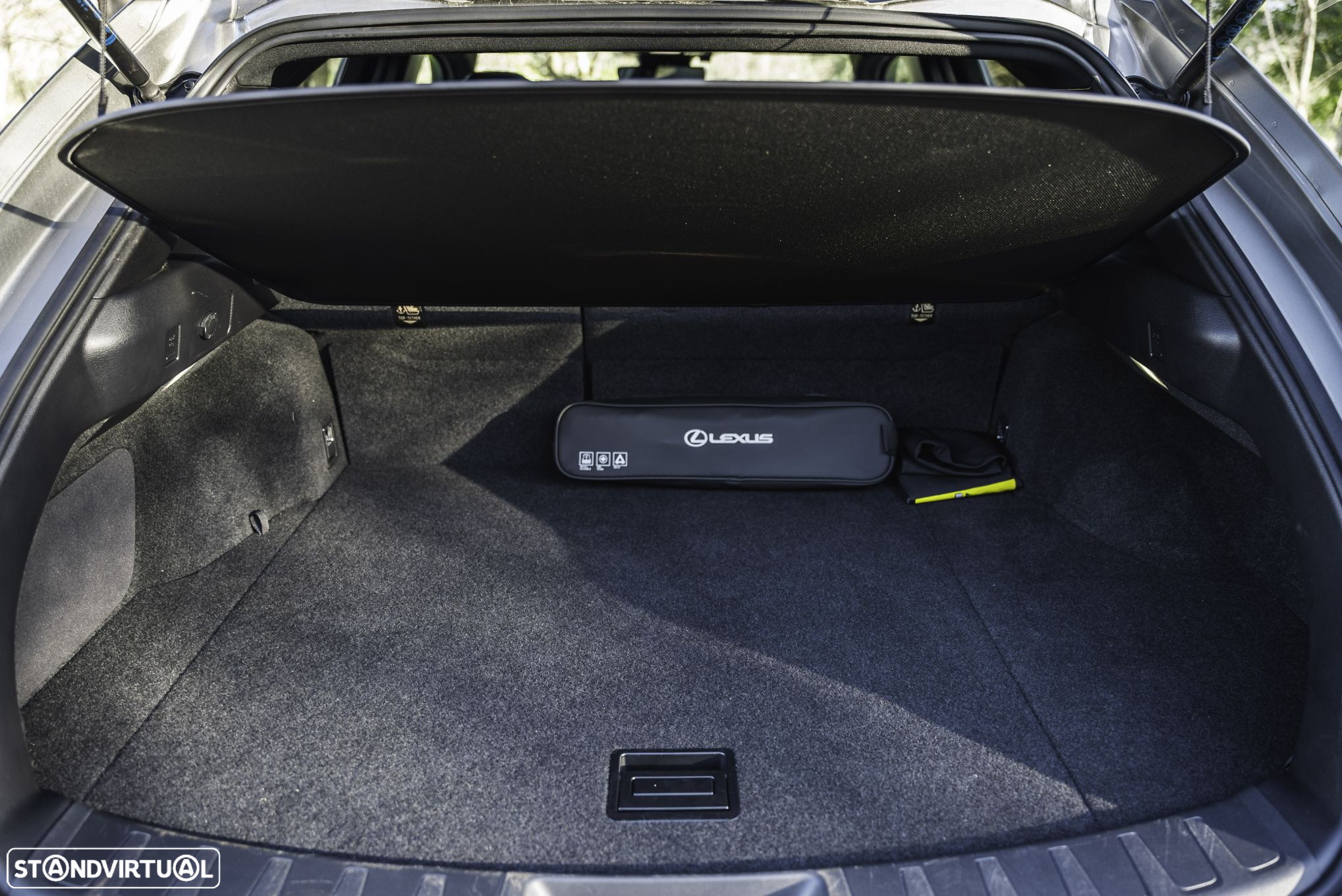 Lexus ux-250h - 10