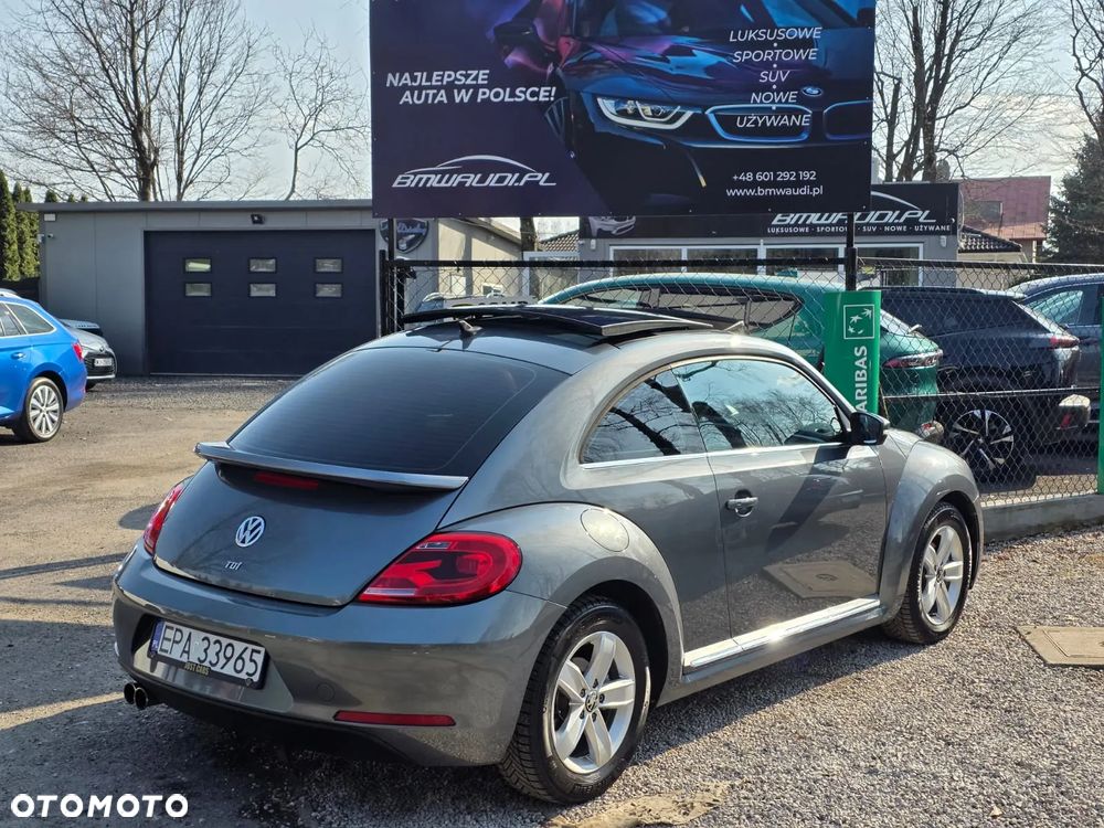 Volkswagen Beetle - 8