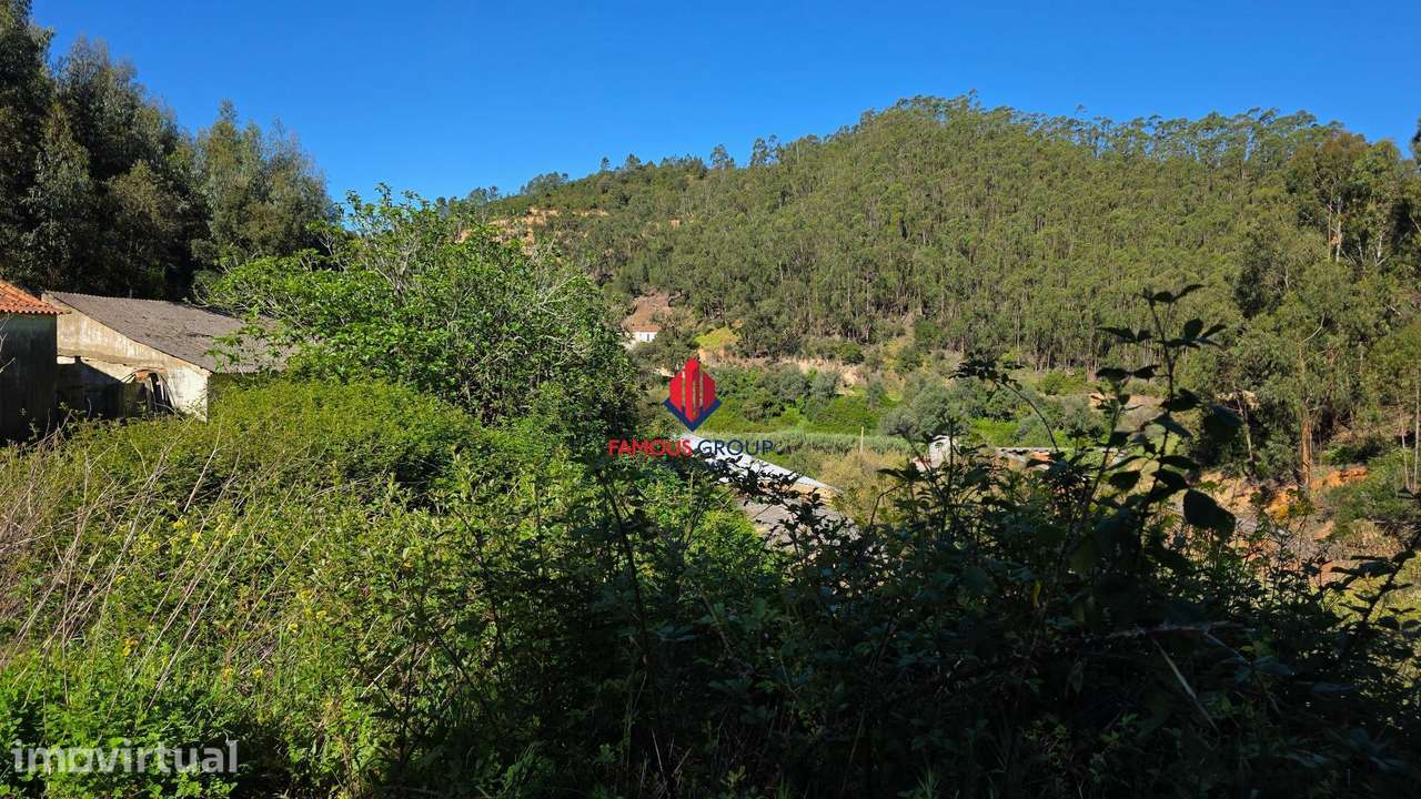 Herdade em Monchique com excelente potêncial - Grande imagem: 5/43