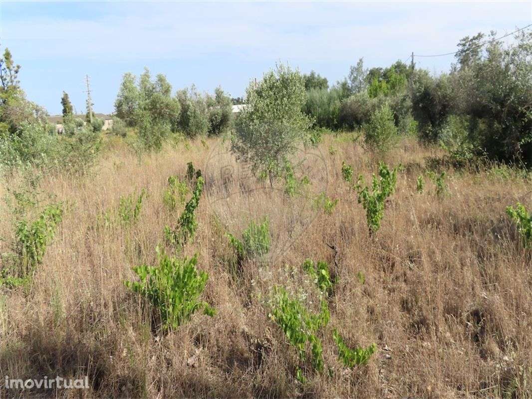 Quinta  para venda - Grande imagem: 2/12