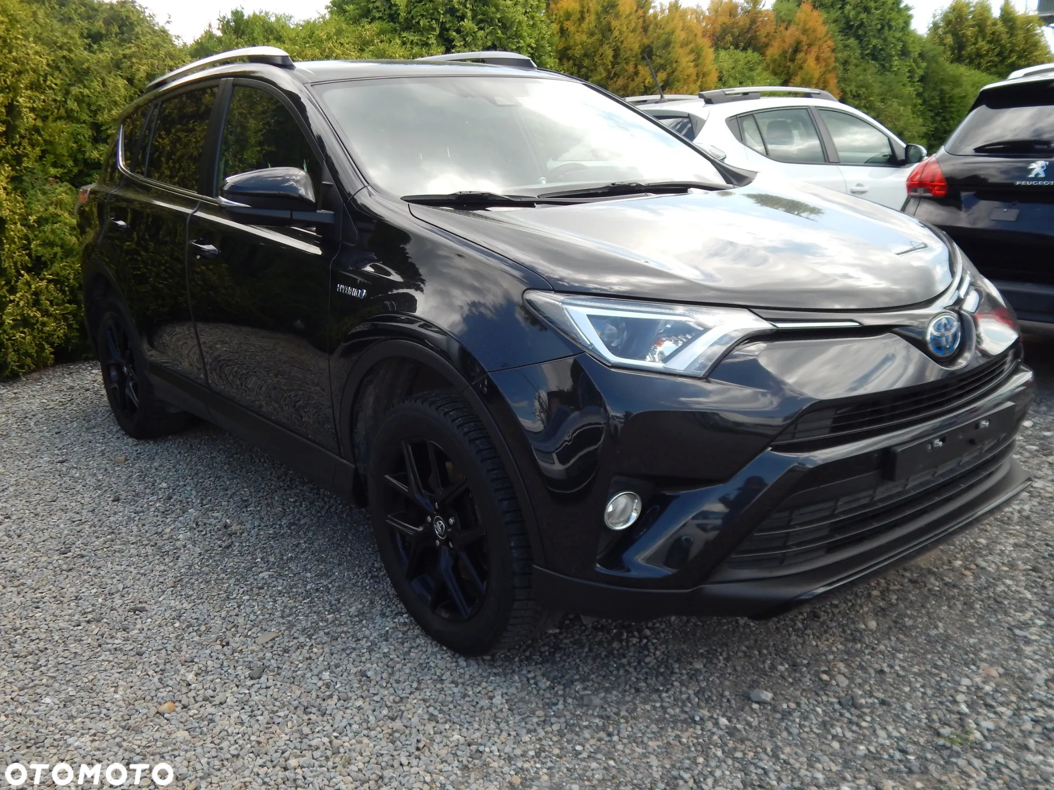 Toyota RAV4 Hybrid Platinum 4x4 - 4