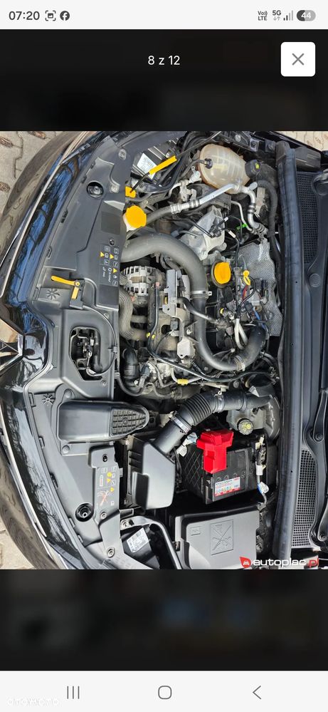 Renault Clio TCe 90 BUSINESS EDITION - 8