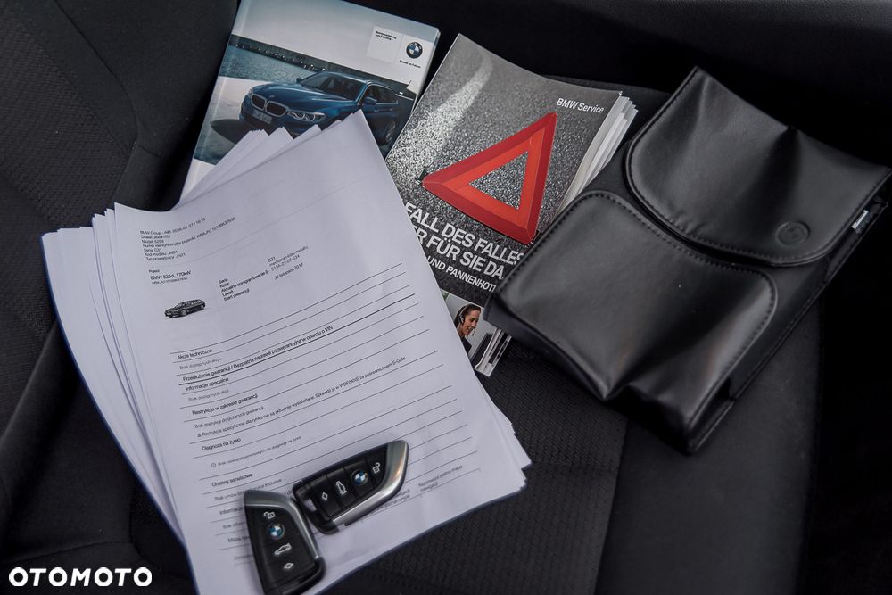 BMW Seria 5 525d - 39