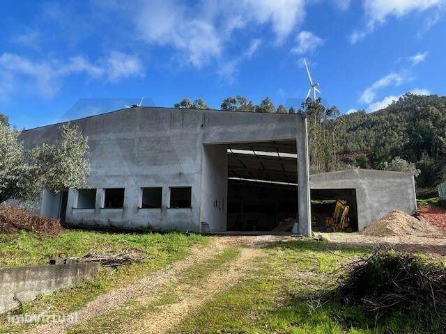 Oportunidade em Penacova: Pavilhão Industrial e Administrativo com Ter - Grande imagem: 3/37