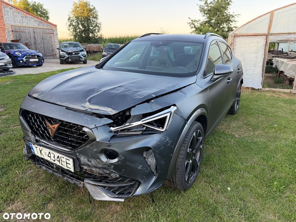 Cupra Formentor 2.0 TSI 4Drive DSG - 10