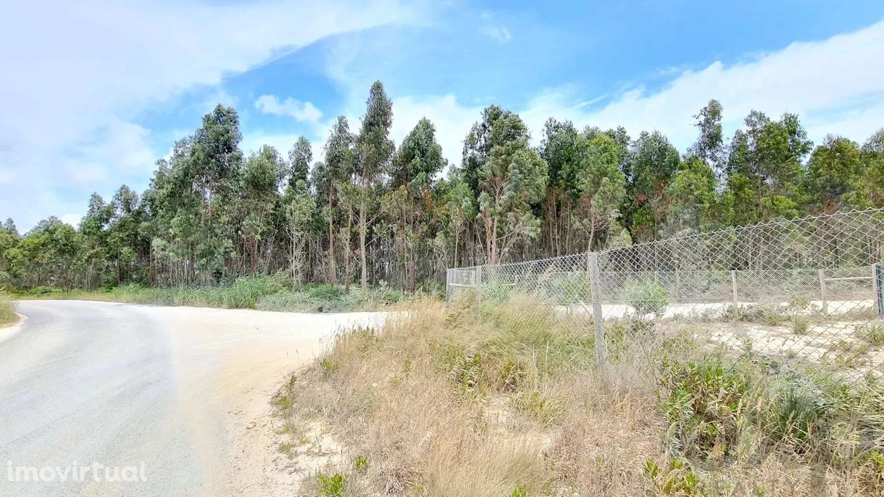 Terreno para construção de pavilhão industrial, na Zona Industrial das - Grande imagem: 3/12