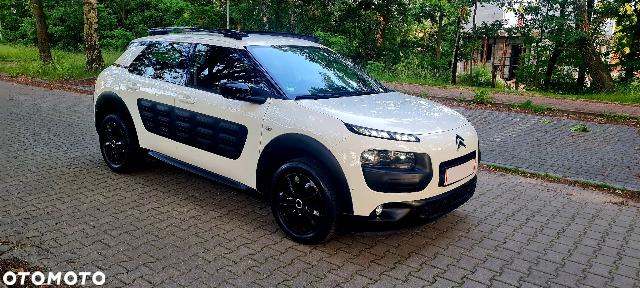 Citroën C4 Cactus 1.2 PureTech GPF Shine Pack S&S - 15