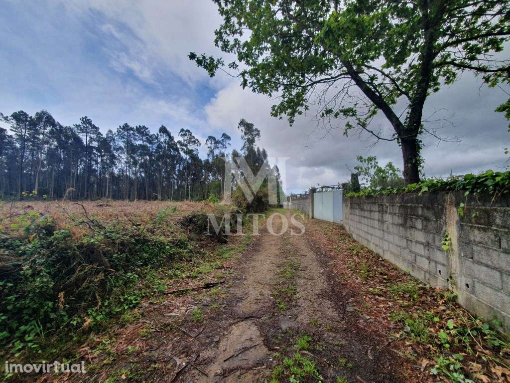 Terreno Aplanado Zona Industrial - Vila de Punhe/Barroselas - Grande imagem: 2/7
