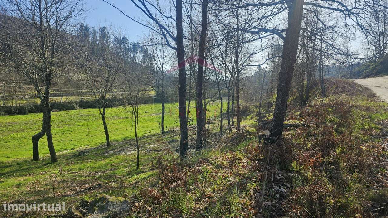 Terreno  Venda em Mamouros, Alva e Ribolhos,Castro Daire - Grande imagem: 2/9
