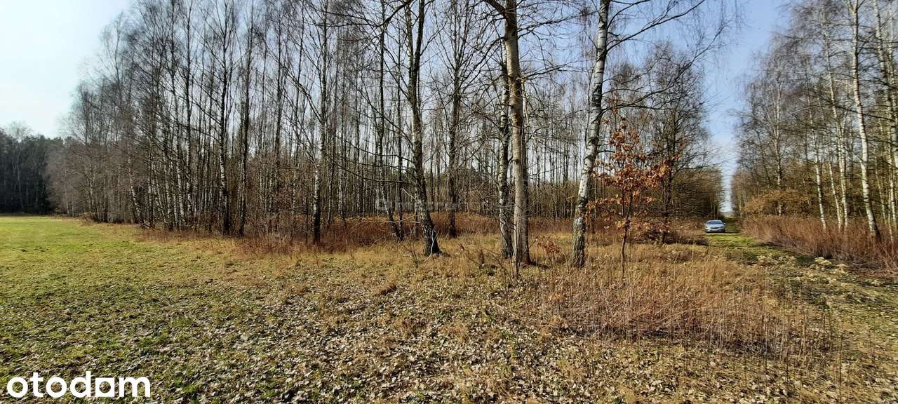 Działka na sprzedaż, Dąbrówka-Niwka - Pełny obrazek: 5/8