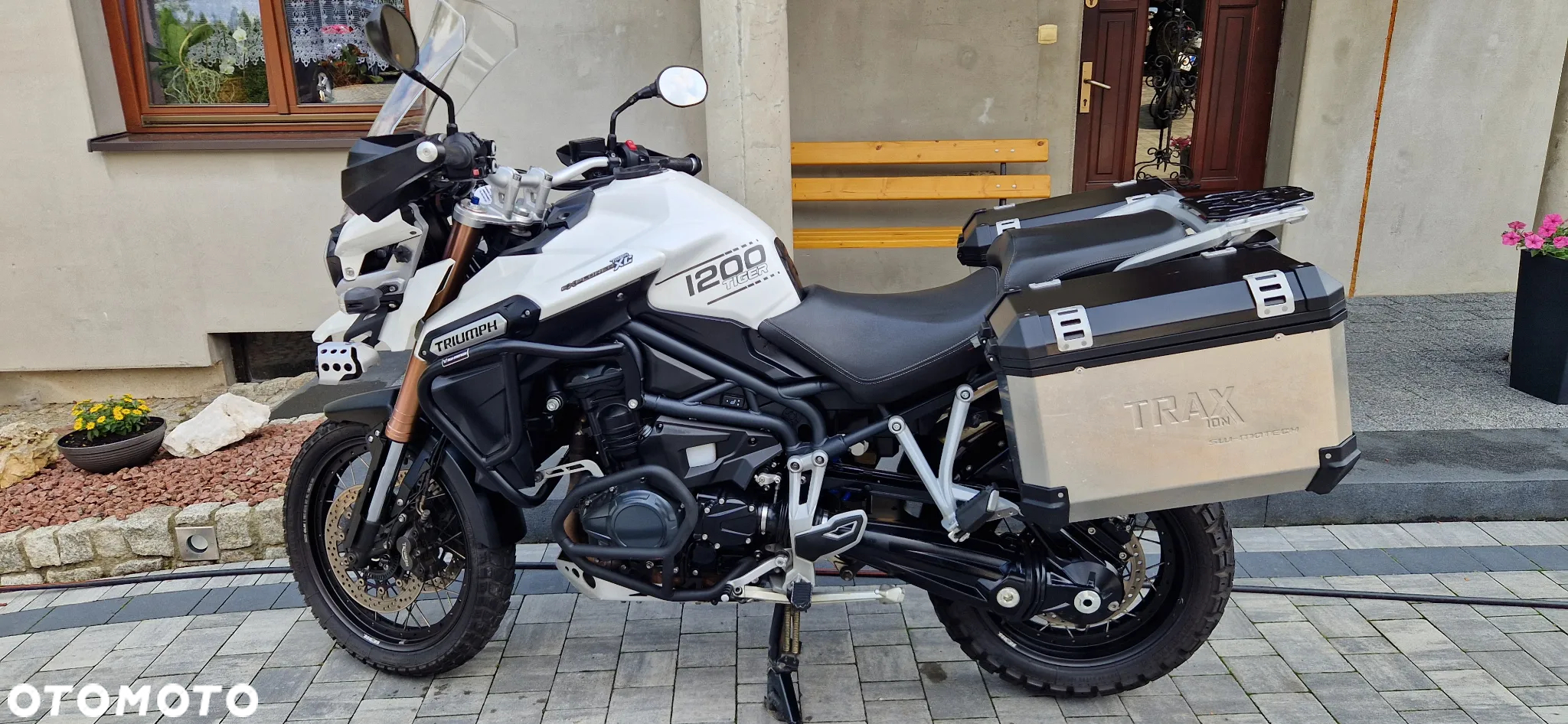 Triumph Tiger - 19