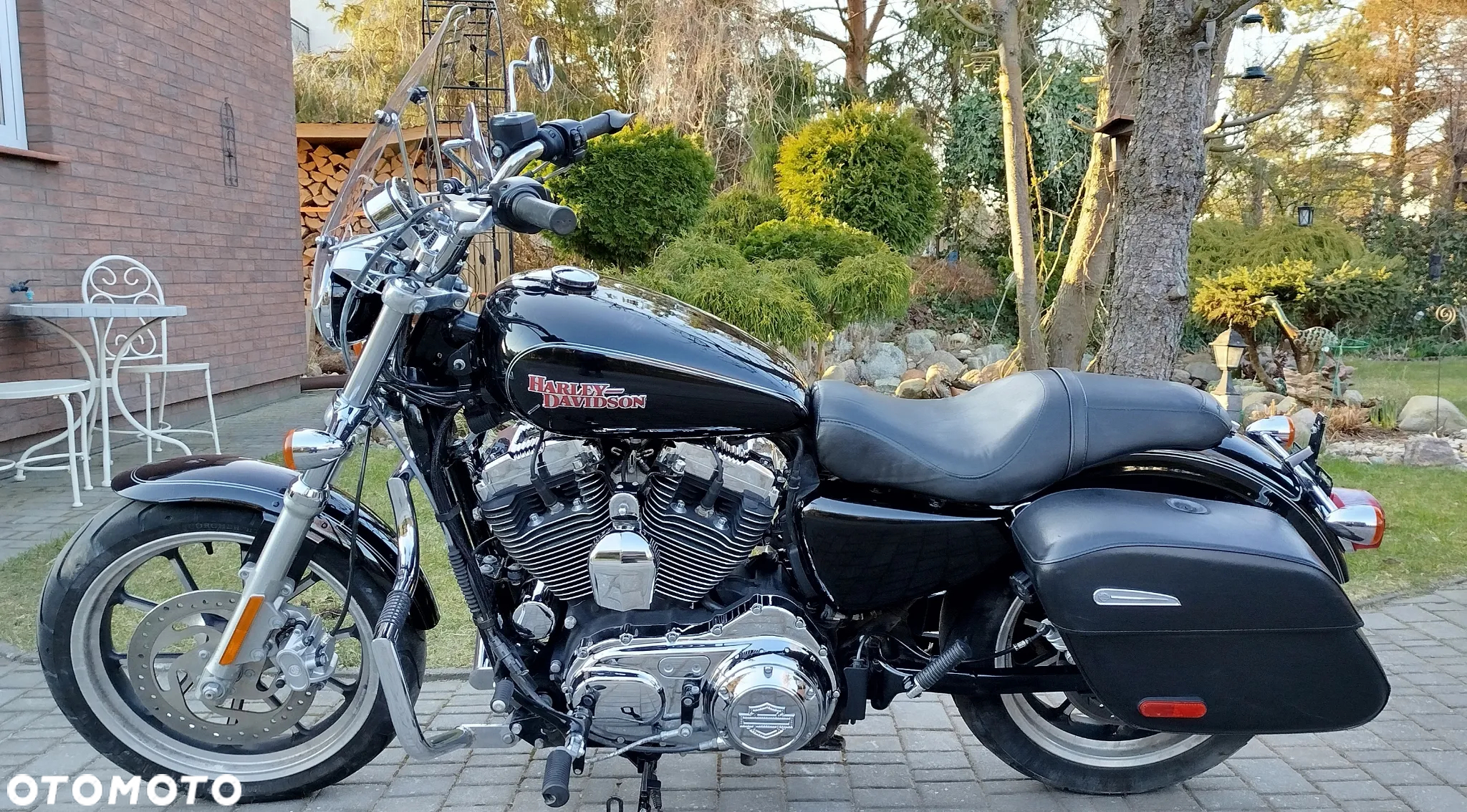 Harley-Davidson Sportster Superlow - 2