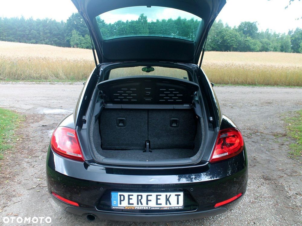 Volkswagen Beetle - 25