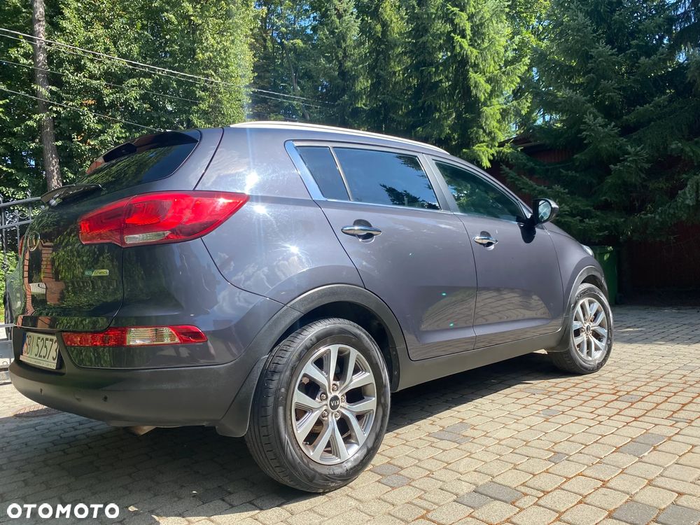 Kia Sportage 1.6 GDI Business Line L 2WD - 6