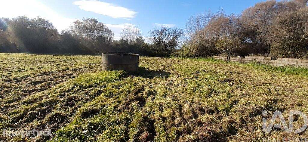Terreno Agrícola em Três Povos - Grande imagem: 3/18