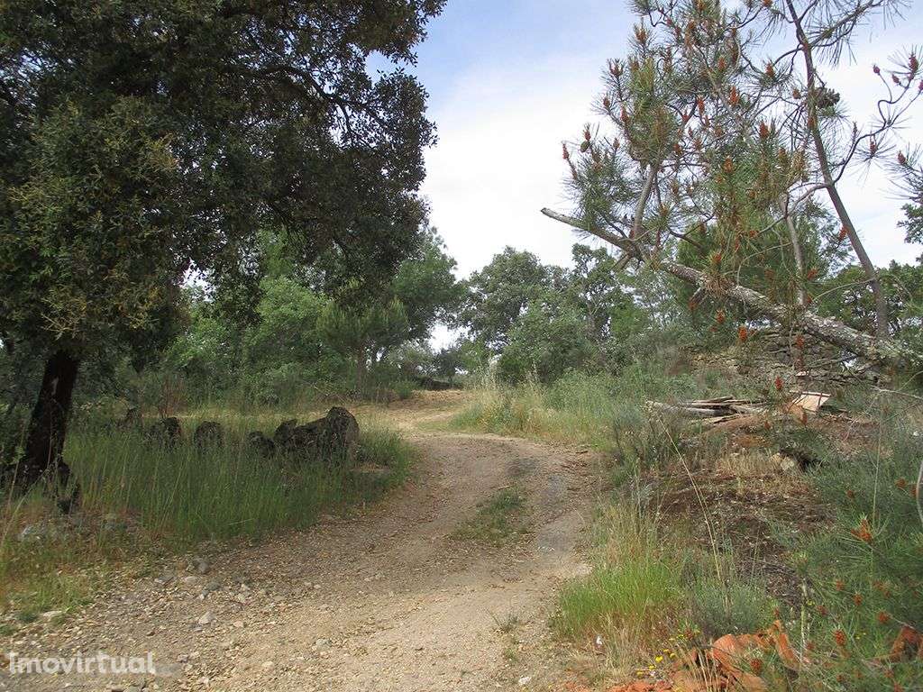 Quinta - Grande imagem: 5/10