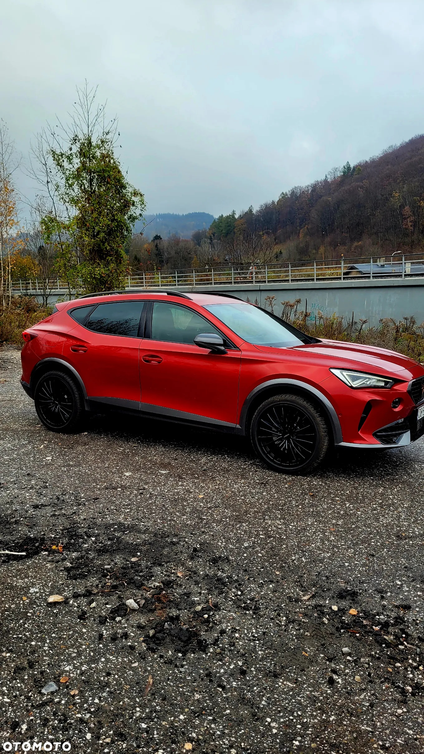 Cupra Formentor 2.0 TSI 4Drive VZ DSG - 14