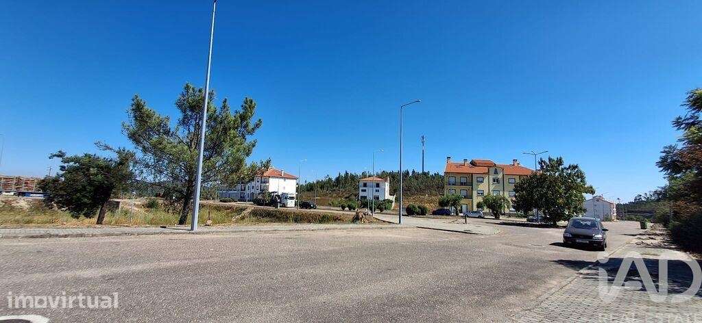 Terreno para construção em Vila de Rei - Grande imagem: 4/12