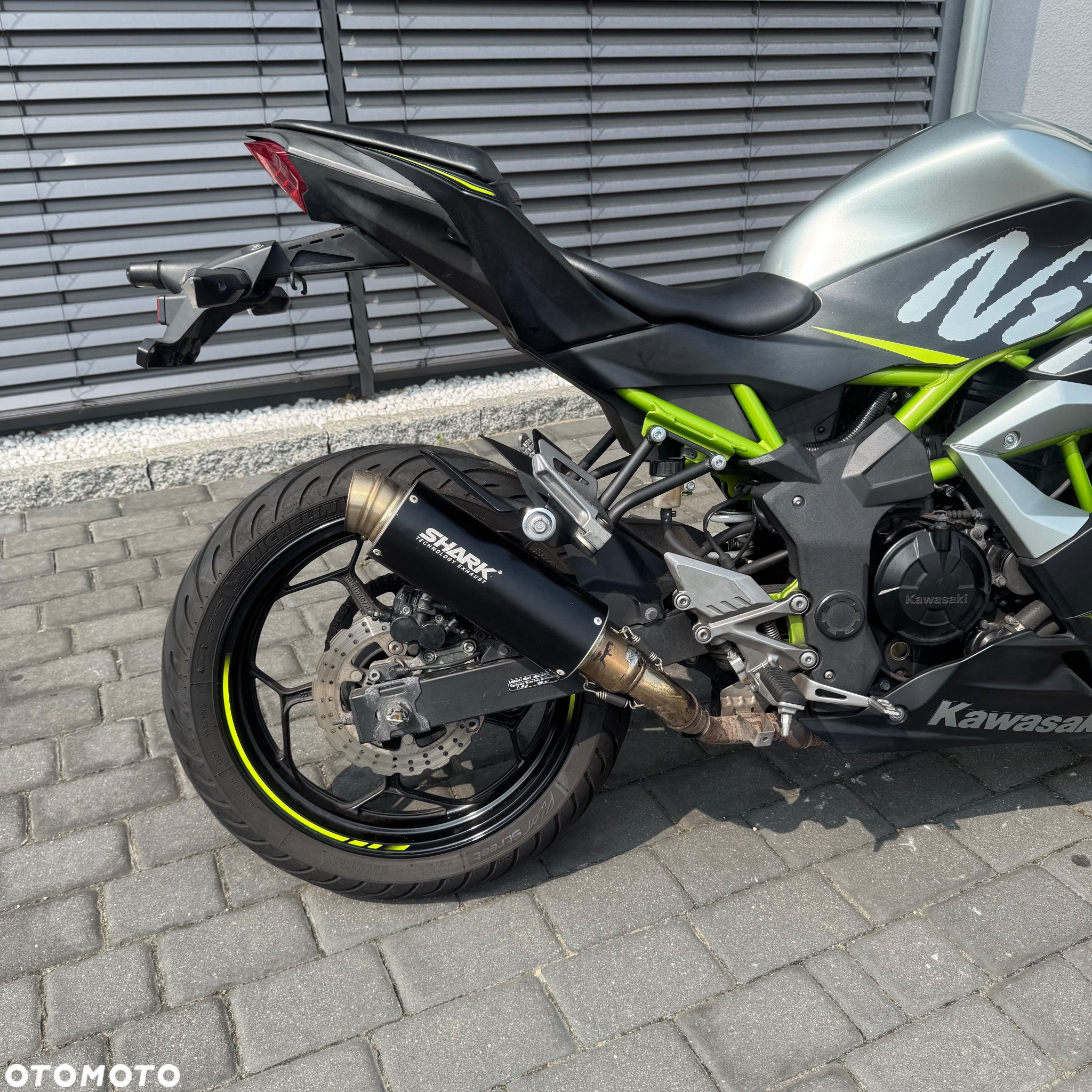 Kawasaki Ninja - 6