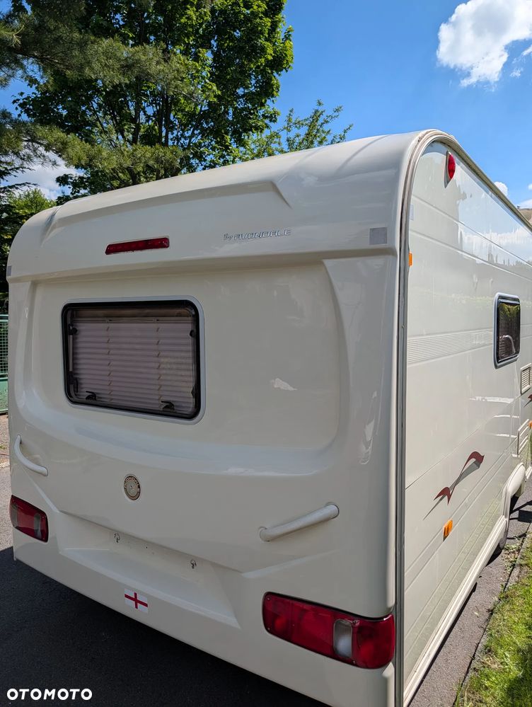 Avondale Golden Avocet - 3