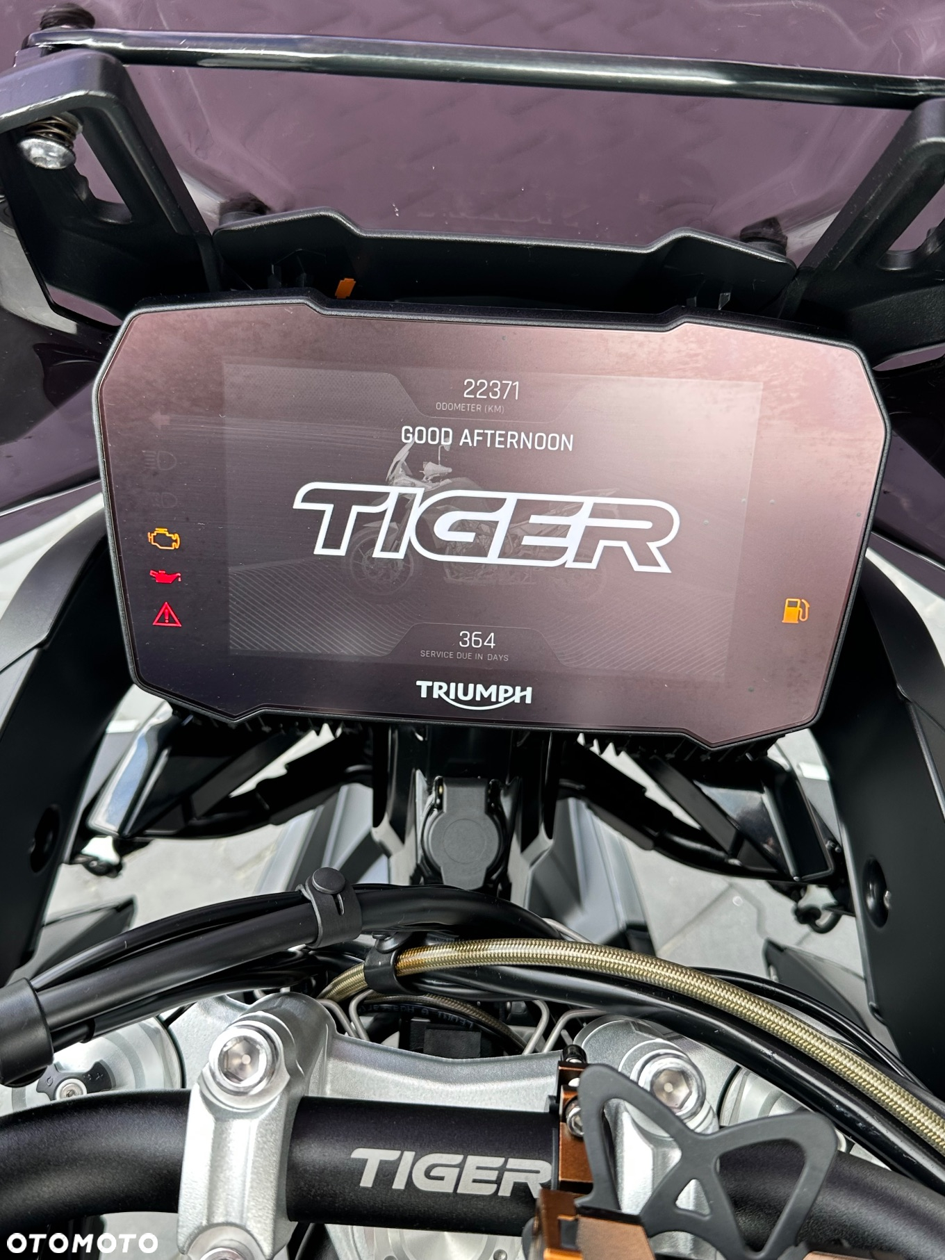 Triumph Tiger - 25