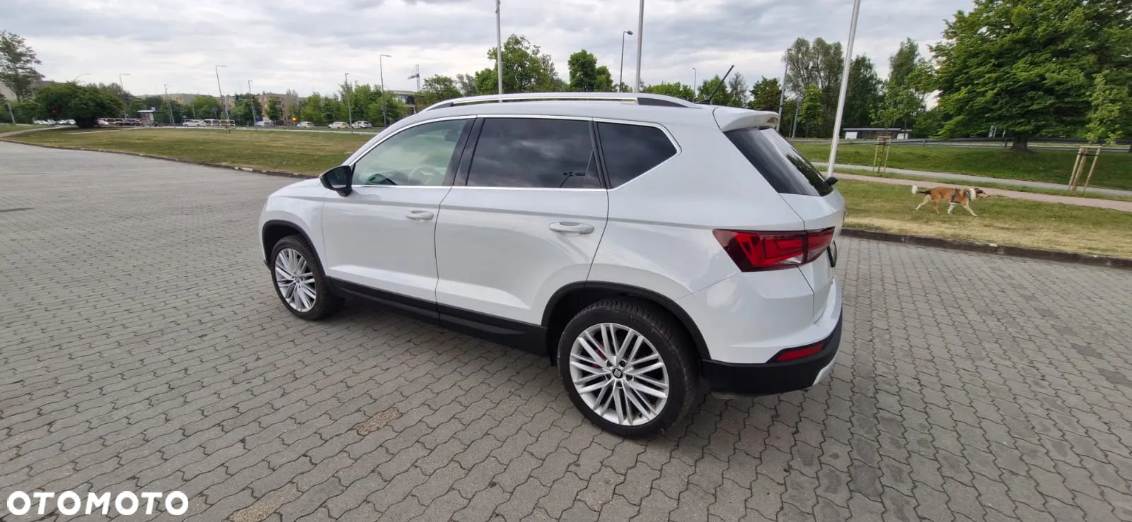 Seat Ateca 2.0 TDI Xcellence S&S 4Drive DSG - 7