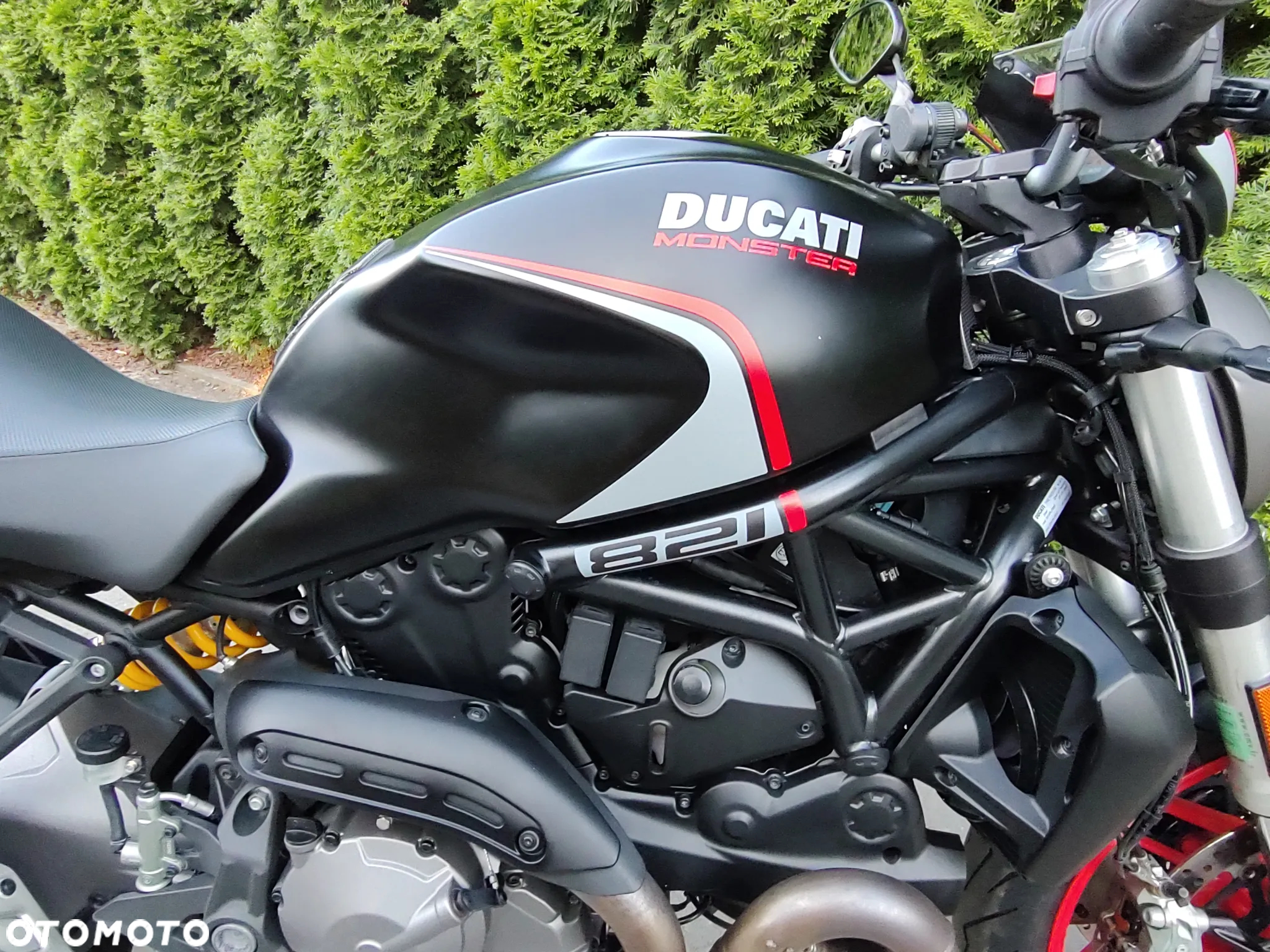 Ducati Monster - 15