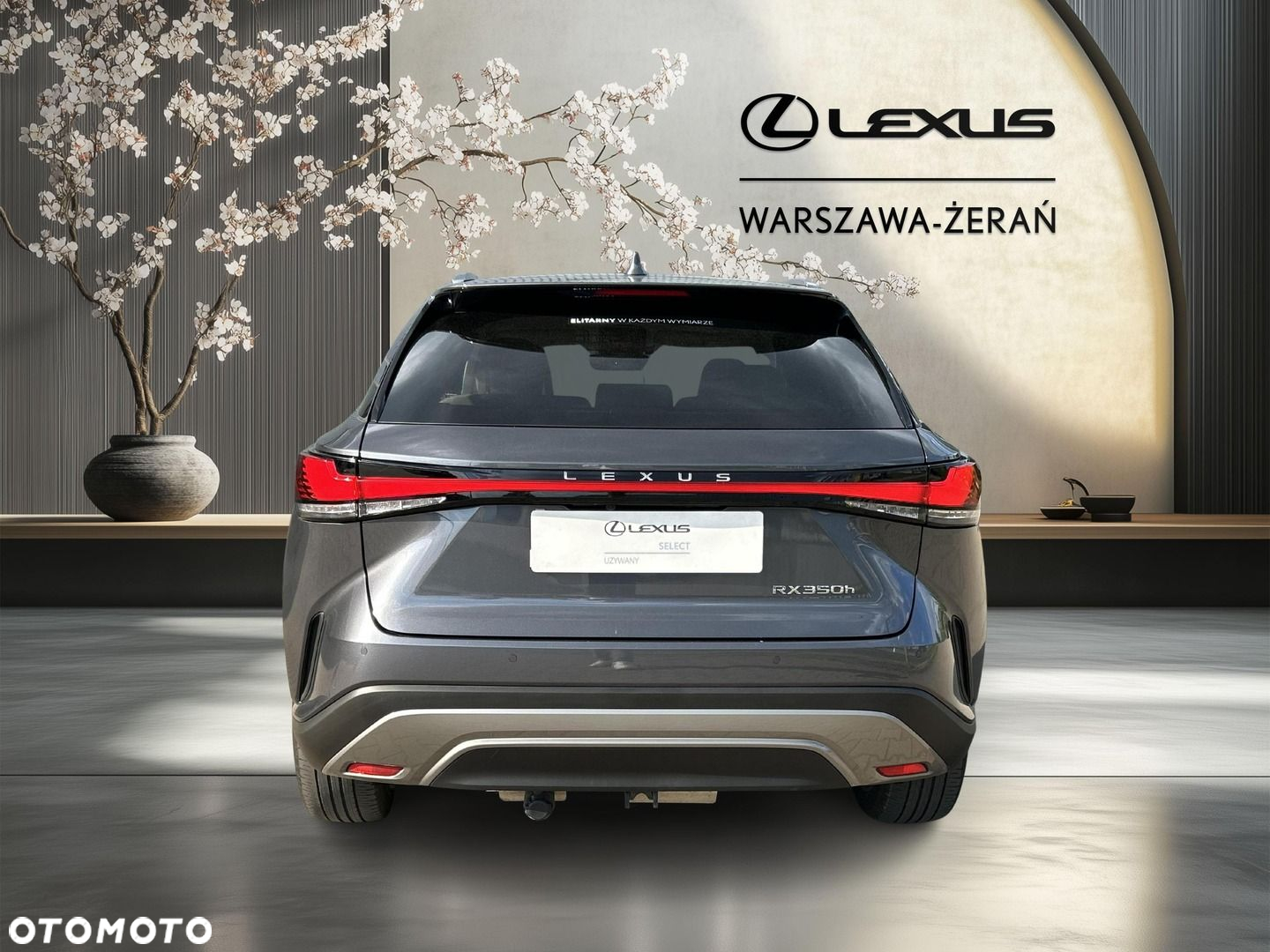 Lexus RX - 6